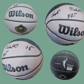 Autographed Basketball signed by 4 WNBA Stars! item