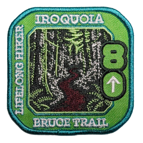 Lifelong Hiker 80+ Badge item
