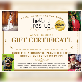 2hr Photo Session + Framed Souvenir Photos - Value $500 item
