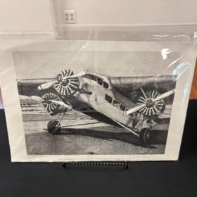 Tin Goose by Donna Hinson item