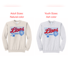 Photo of Sweatshirt 2