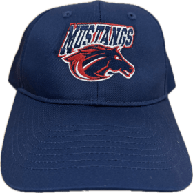 Youth Hat item