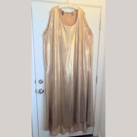 Miss Terra Cotta's Golden Glamour Dress item