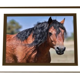 Istaga Framed Canvas item