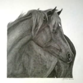 StellaLuna Pencil Drawing item