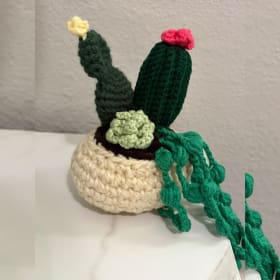 Potted Crochet Succulent Pots item