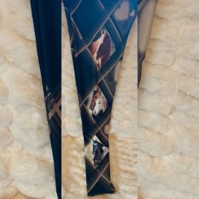 Go Wild at Sand Wash Basin Leggings item