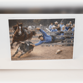 Photo of Cowboy lassos a steer by John from Aspley Camera Club