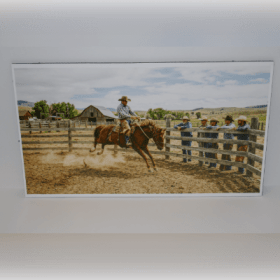 Photo of Breaking in a horse by John from Aspley Camera Club