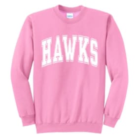 Pink HAWKS Sweatshirt item