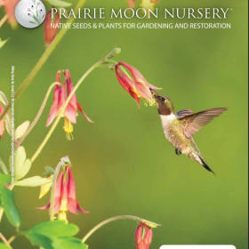 $100 gift certificate to Prairie Moon Nursery item