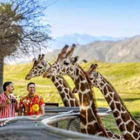 2 Tickets to The Living Desert Zoo & Gardens item