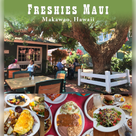 $150 Gift Certificate to Freshies item