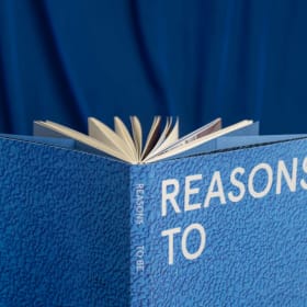 Reasons to Be by Aidan Jung (Signed) item