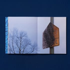 Reasons to Be by Aidan Jung (Signed) item