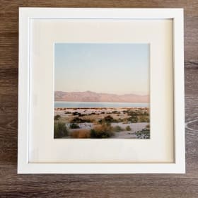 Salton Sea by Nora Lalle item