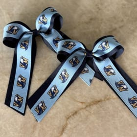 Hair Bow item