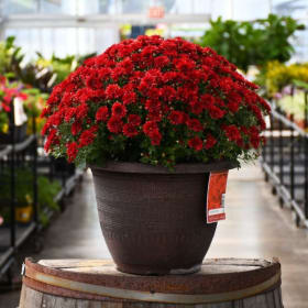 Red item