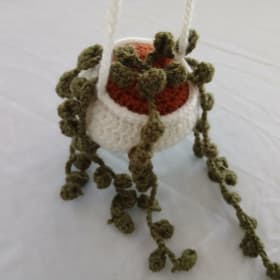 Crochet Succulent Hangers item