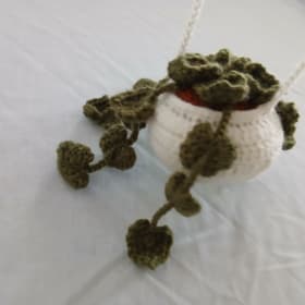 Crochet Succulent Hangers item
