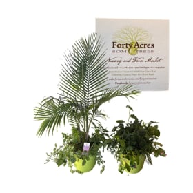 Two extra large planters from Forty Acres item