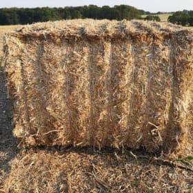 1/2 hay Bale item