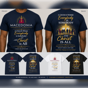 Adult T-shirt (Small - XL) item