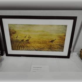 #7 Dee Kotaksa print framed item