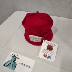 #19 Melt the ICE hat item