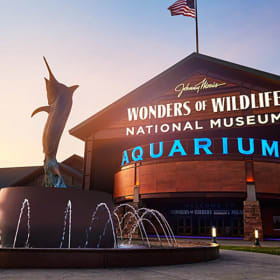 Wonders Of Wildlife 25 - 27 Sept 2026 item
