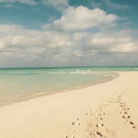 One week stay in Pineapple Paradise item
