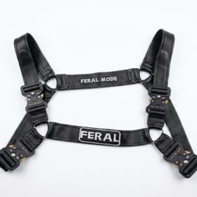 Harness item