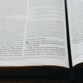 Standard book - No Setup Fee item