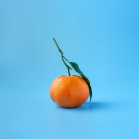 Snacks item