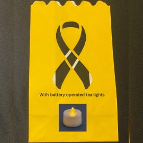 Luminary bags WITH lights item