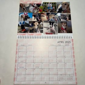 2027 Calendar-Picnic Pick Up item