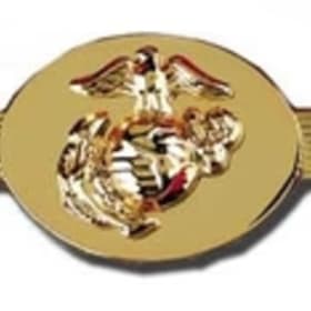Tie-Bar, SNCO, Gold item