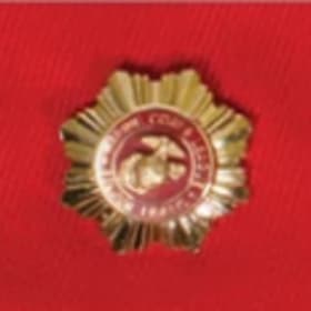 Associate Emblem item