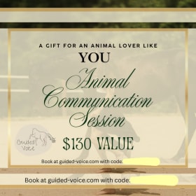 Guided Voice Animal Communication Session item