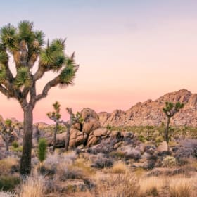 Palm Springs Escape for Two — 2-Night Getaway item