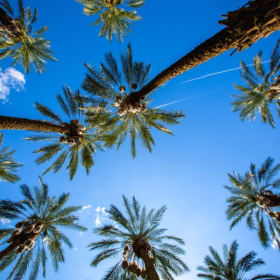 Palm Springs Escape for Two — 2-Night Getaway item