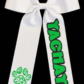 Spirit Bows item