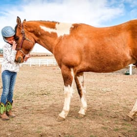 1-hr Horse Ride/PT Session item