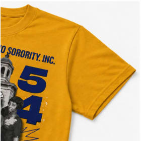 Photo of BT Charter Members T-shirt