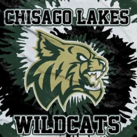 Wildcat Towel item