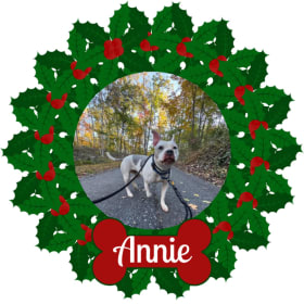 Photo of Holly Wreath
