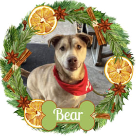 Photo of Orange Wreath