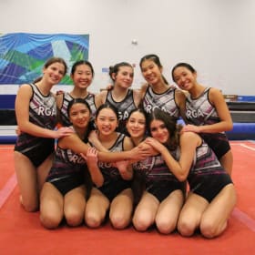 Team Training Leotard item
