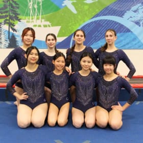Xcel and HS Xcel Competition Leotard item
