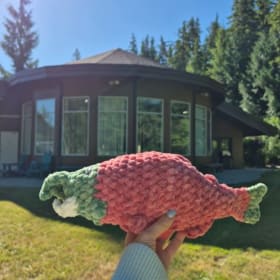 1 - Adopt-a-Sockeye item